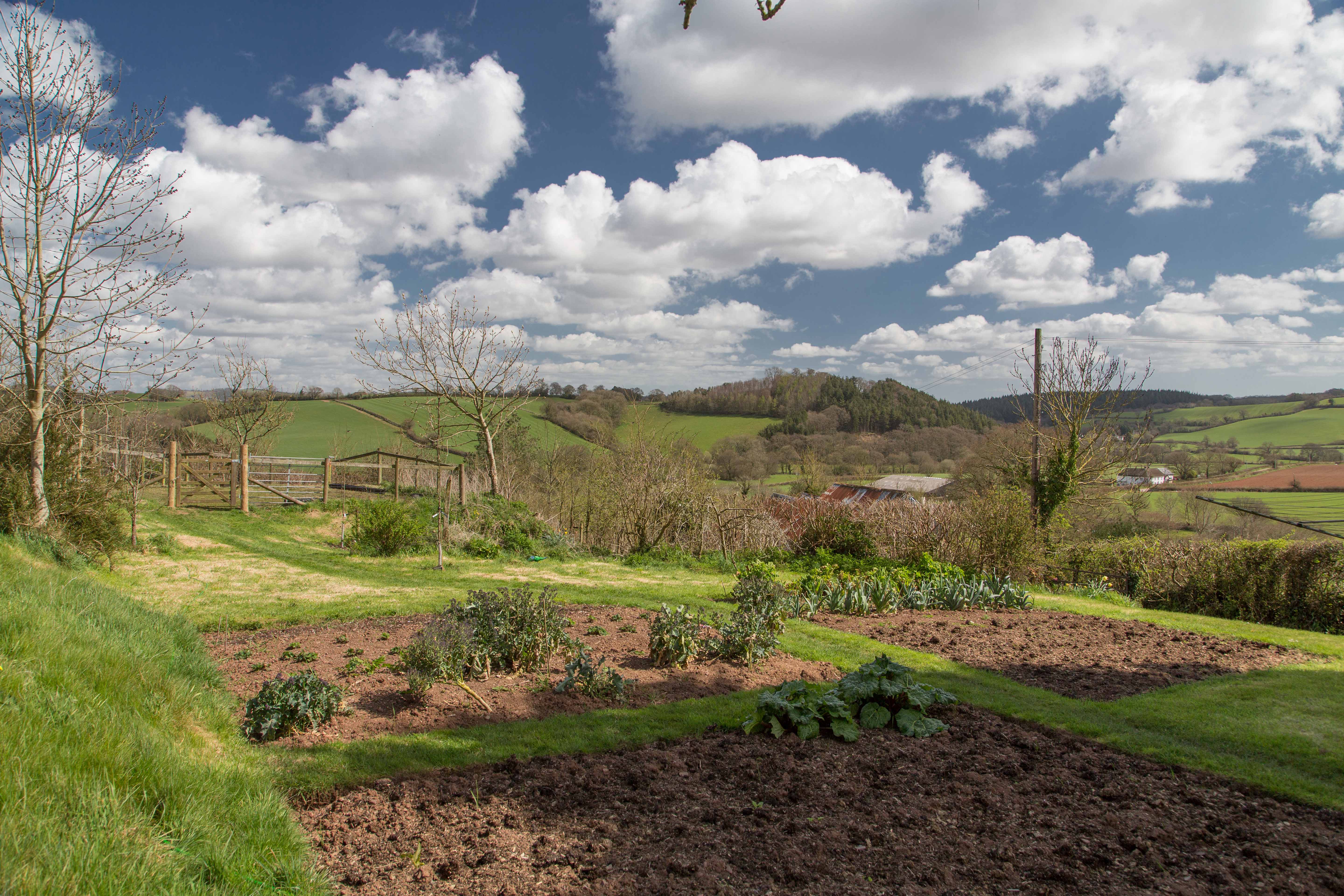 Burridge Farm Crediton Care